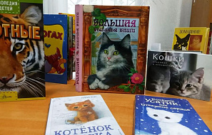 День кошек